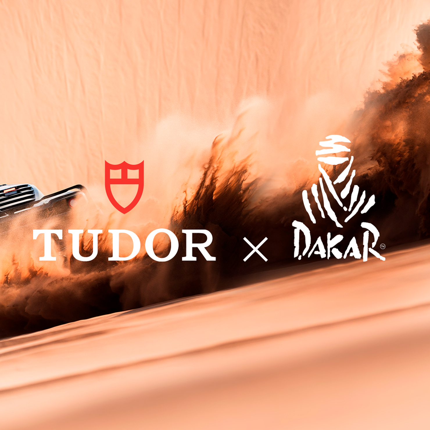 RALLY DAKAR 2025